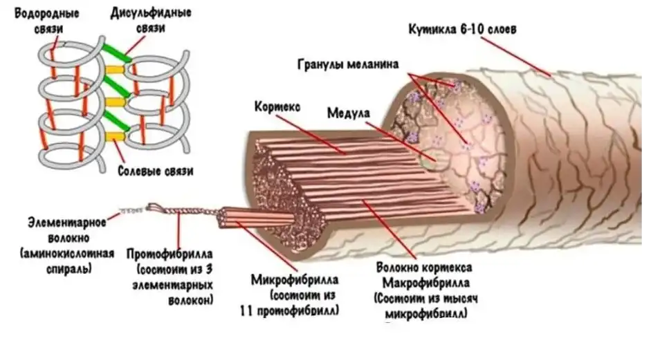 стержень.webp