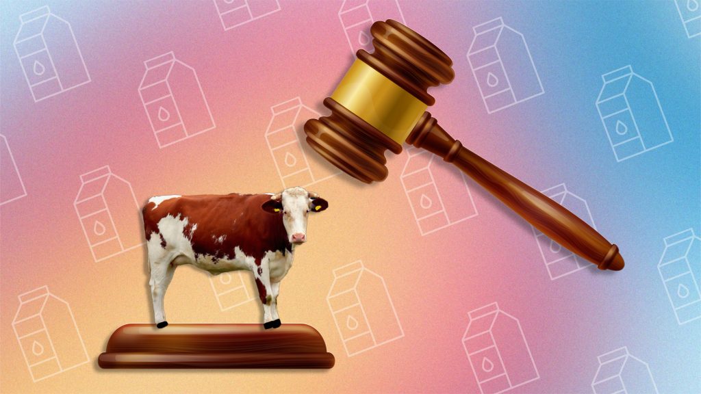 Приговор лактозе: правда ли молочные продукты виноваты в высыпаниях?
