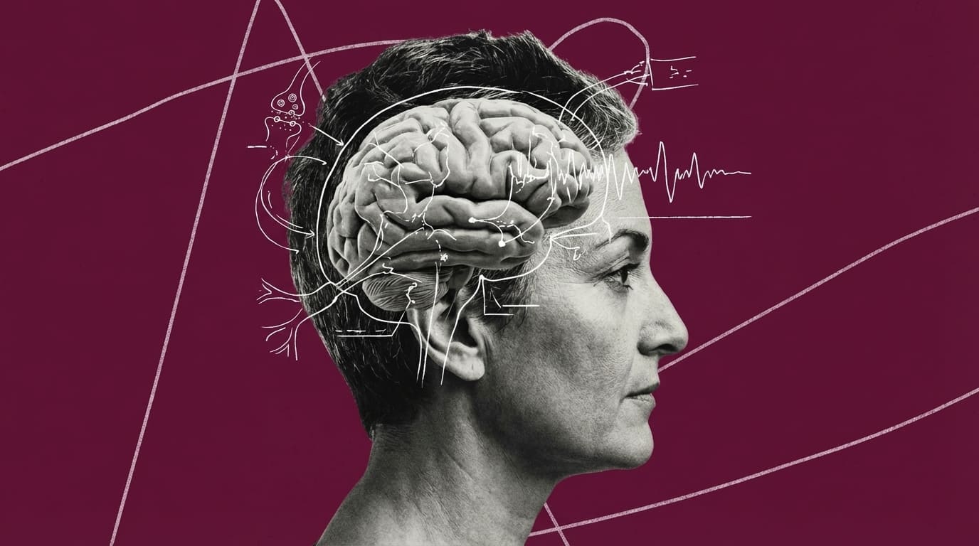 50 лет, средний возраст, пик мозговой активности, пик активности мозга, жизнь после 50, 50, 50+, старение, как понять что я старею, старение мозга,