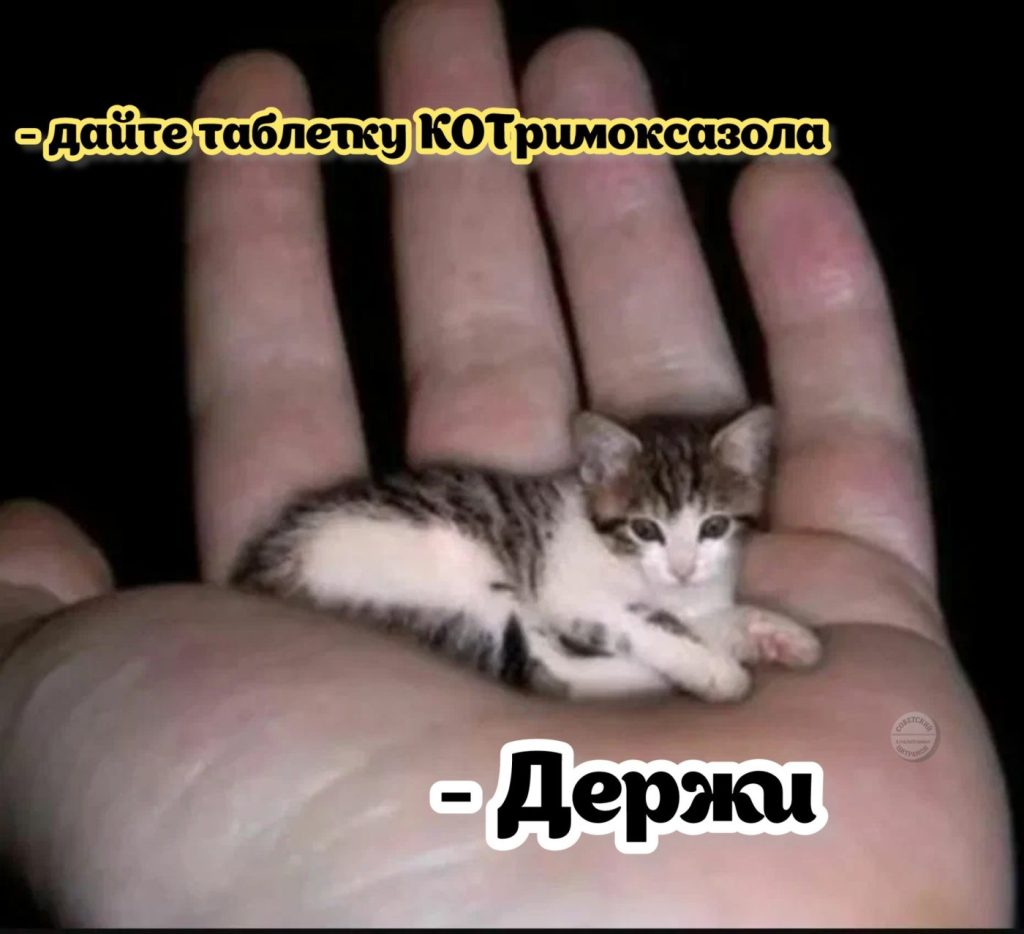 Мурмяу