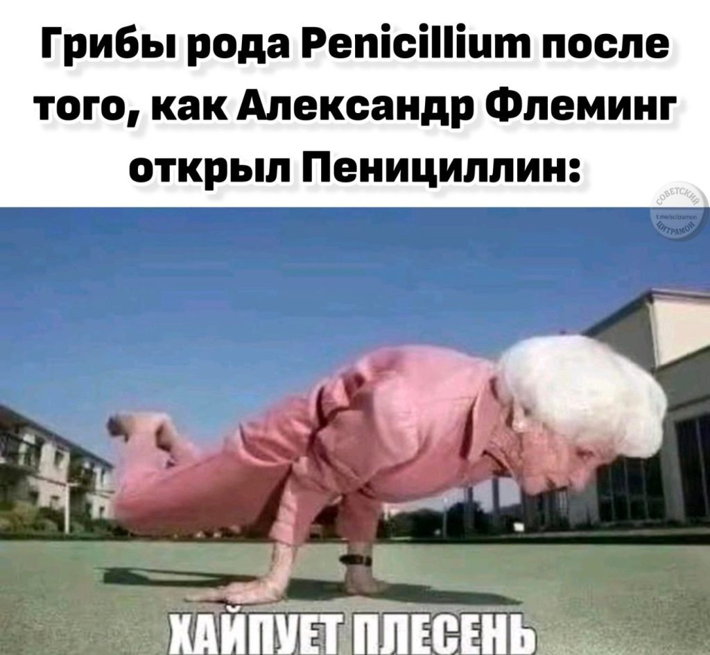 Газуем