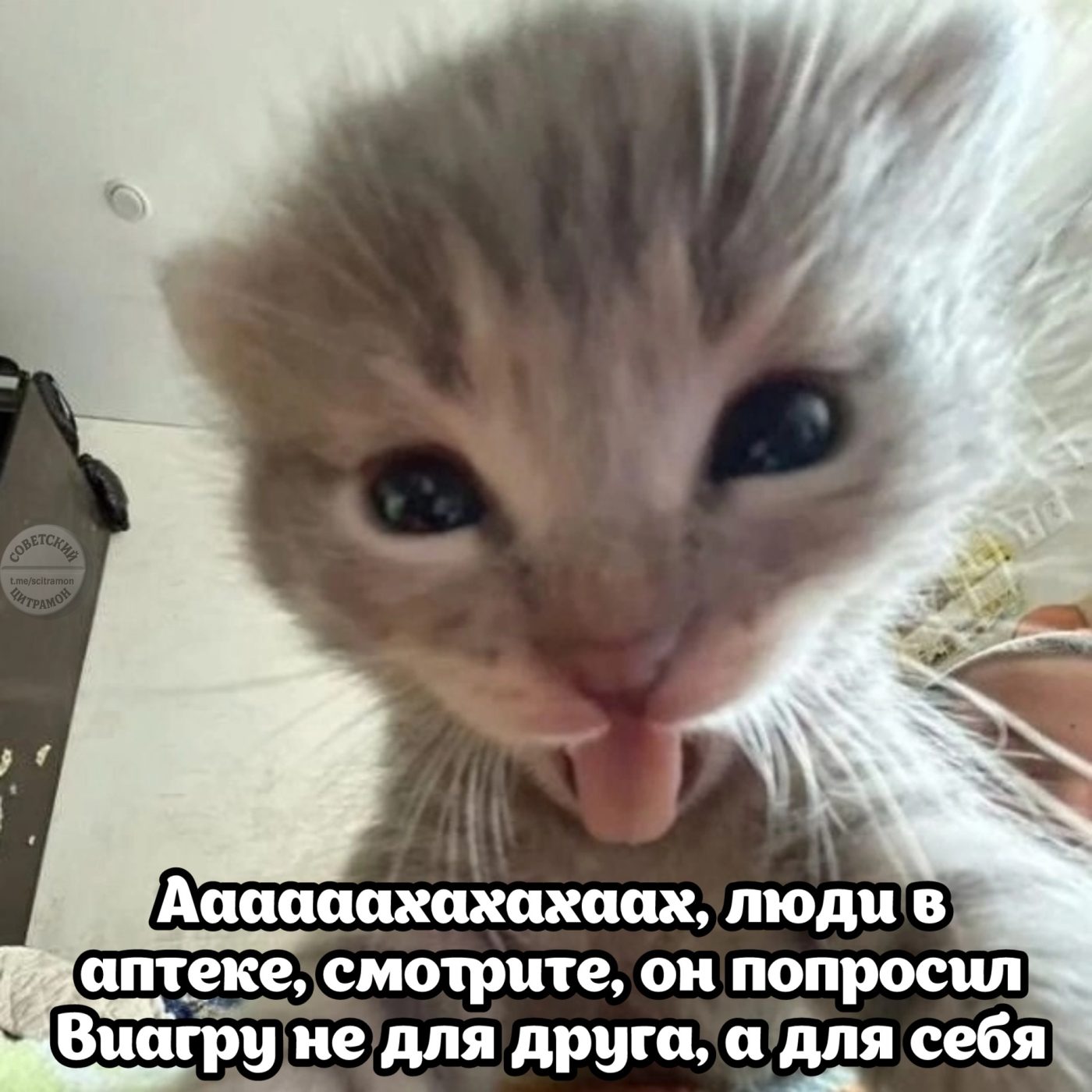 Мне для другабратаотчимазятясвекра