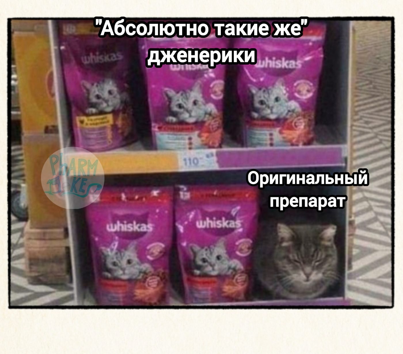 🐈