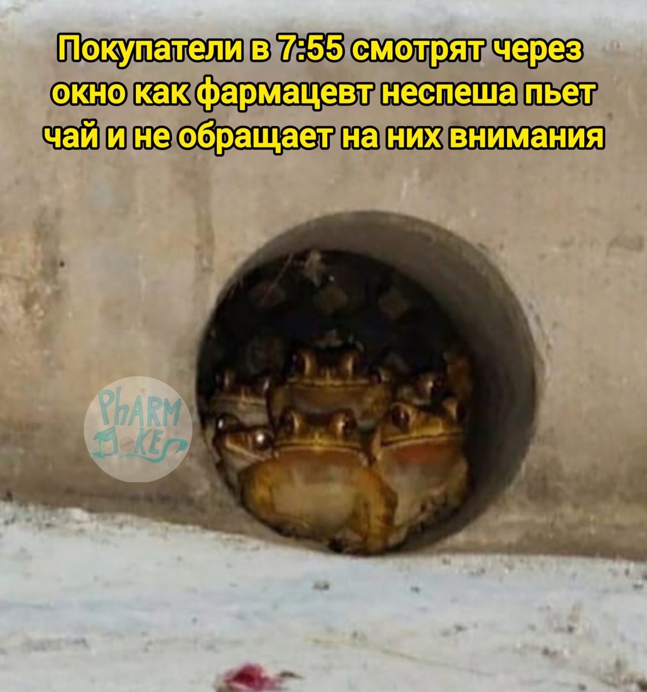 Мем про аптеку из паблика «PharmJokes»
