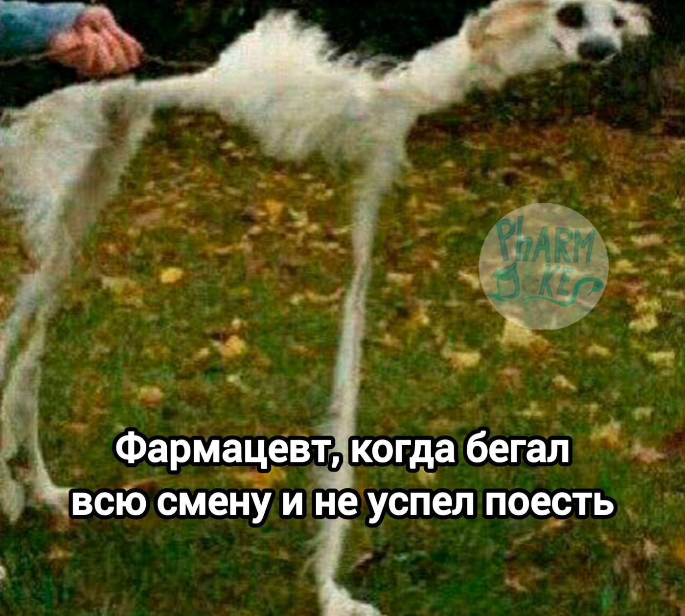 Мем про аптеку из паблика «PharmJokes»