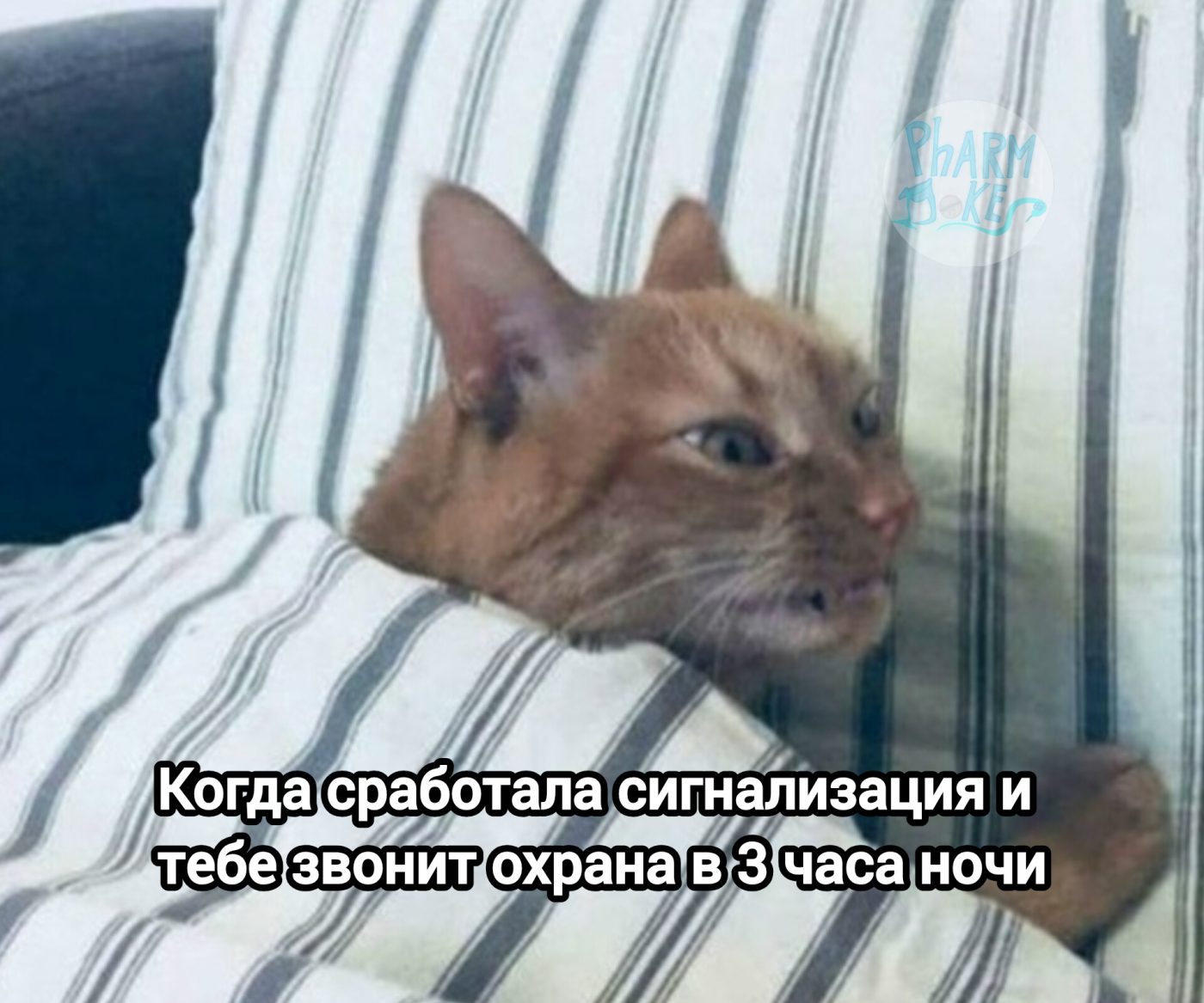 Мем про аптеку из паблика «PharmJokes»