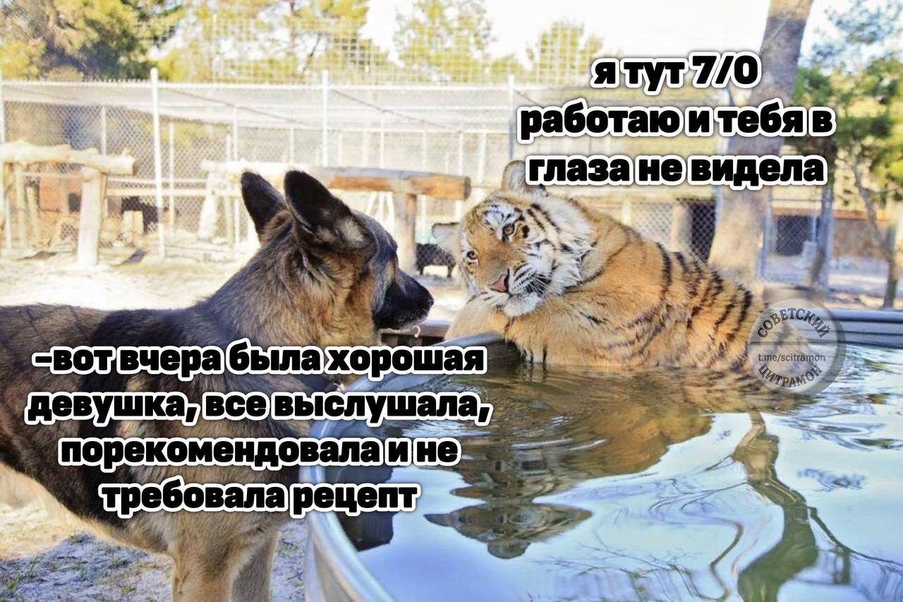 Мем про аптеку из паблика «Советский Цитрамон»