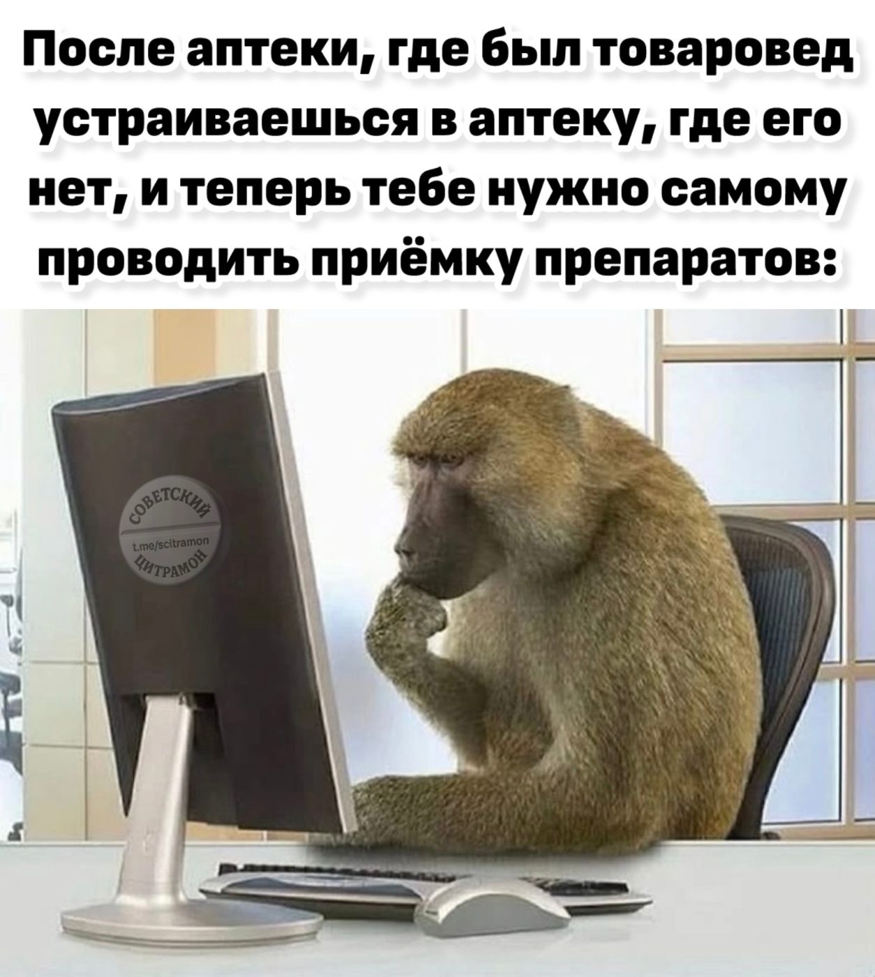 Мем про аптеку из паблика «Советский Цитрамон»