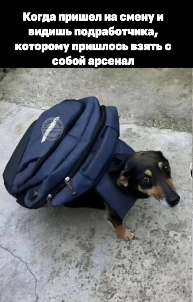 Мем про аптеку из паблика «Советский Цитрамон»