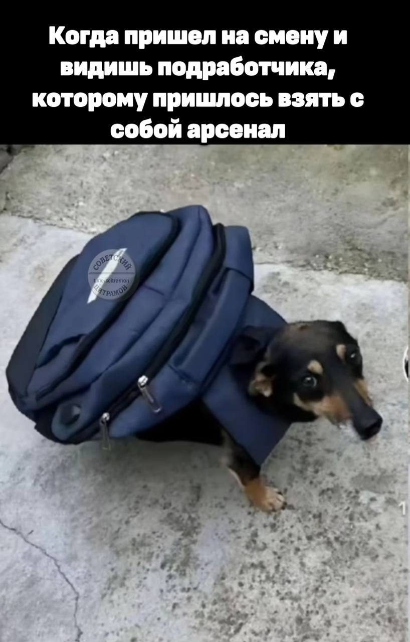 Мем про аптеку из паблика «Советский Цитрамон»