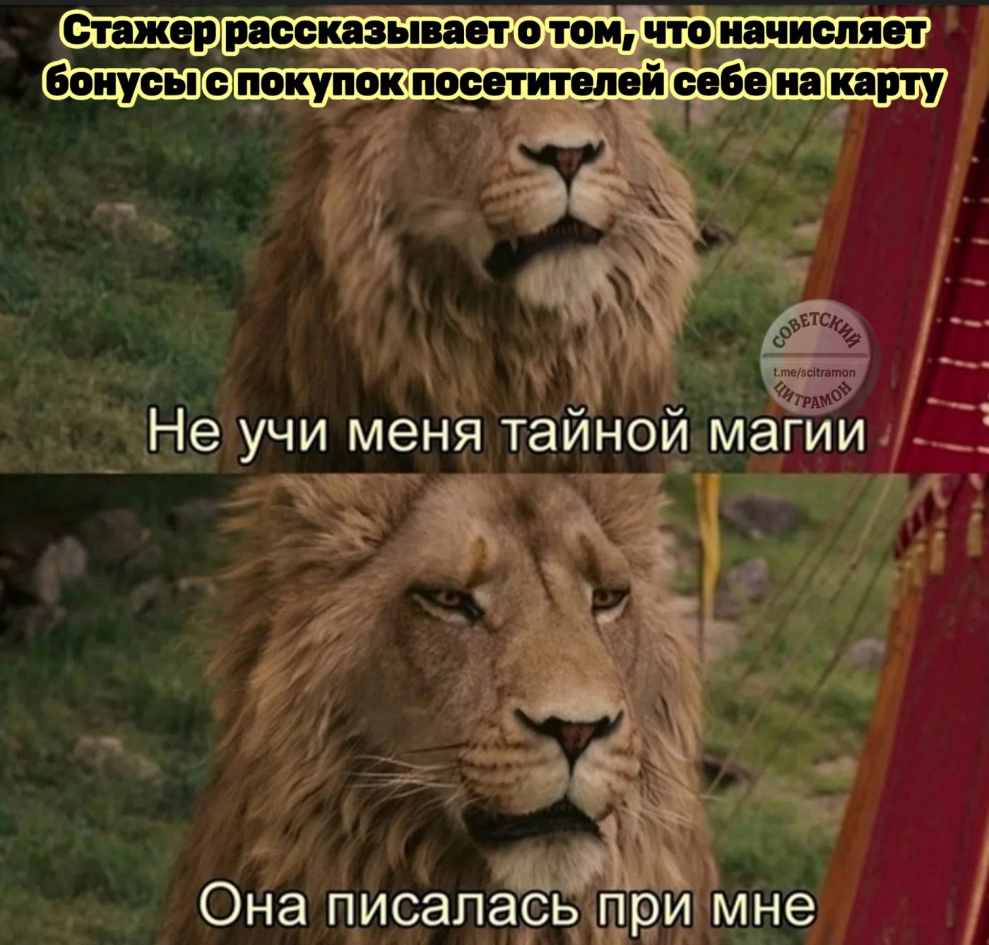 Мем про аптеку из паблика «Советский Цитрамон»