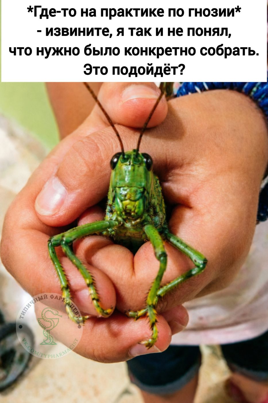 Мем про аптеку из паблика «Типичный фармацевт»