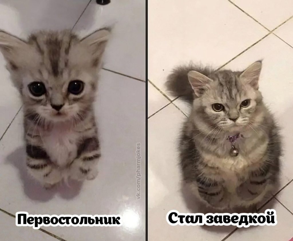 Мем про аптеку из паблика «Успешный фармацевт»