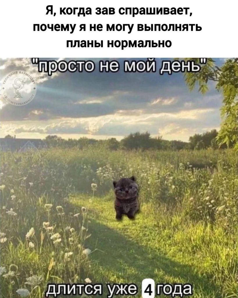 Мем про аптеку из паблика «Типичный фармацевт»