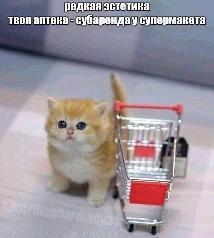 Мем про аптеку из паблика «Аптека, улица, фонарь»