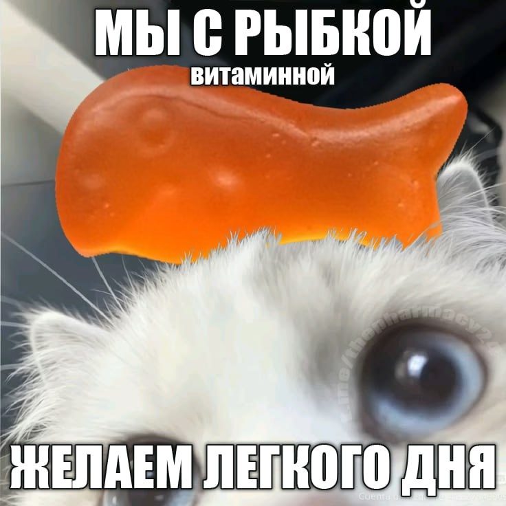 Мем про аптеку из паблика «Аптека, улица, фонарь»