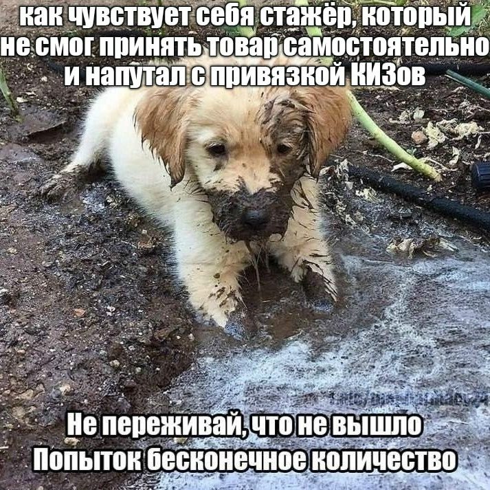 Мем про аптеку из паблика «Аптека, улица, фонарь»