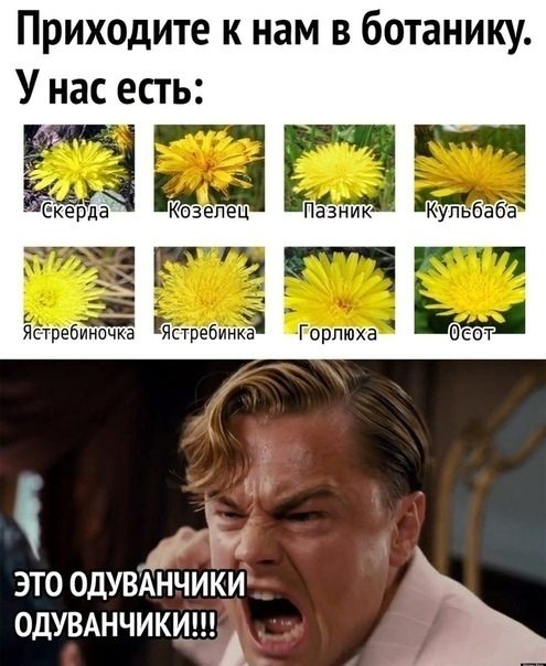 Мем про аптеку из паблика «Успешный фармацевт»