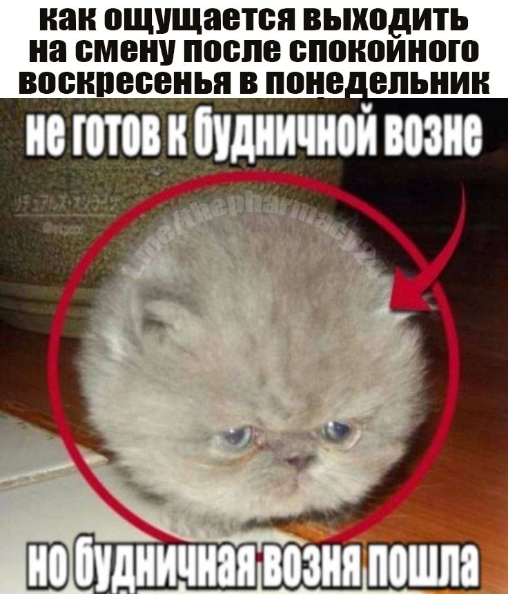 Мем про аптеку из паблика «Аптека, улица, фонарь»