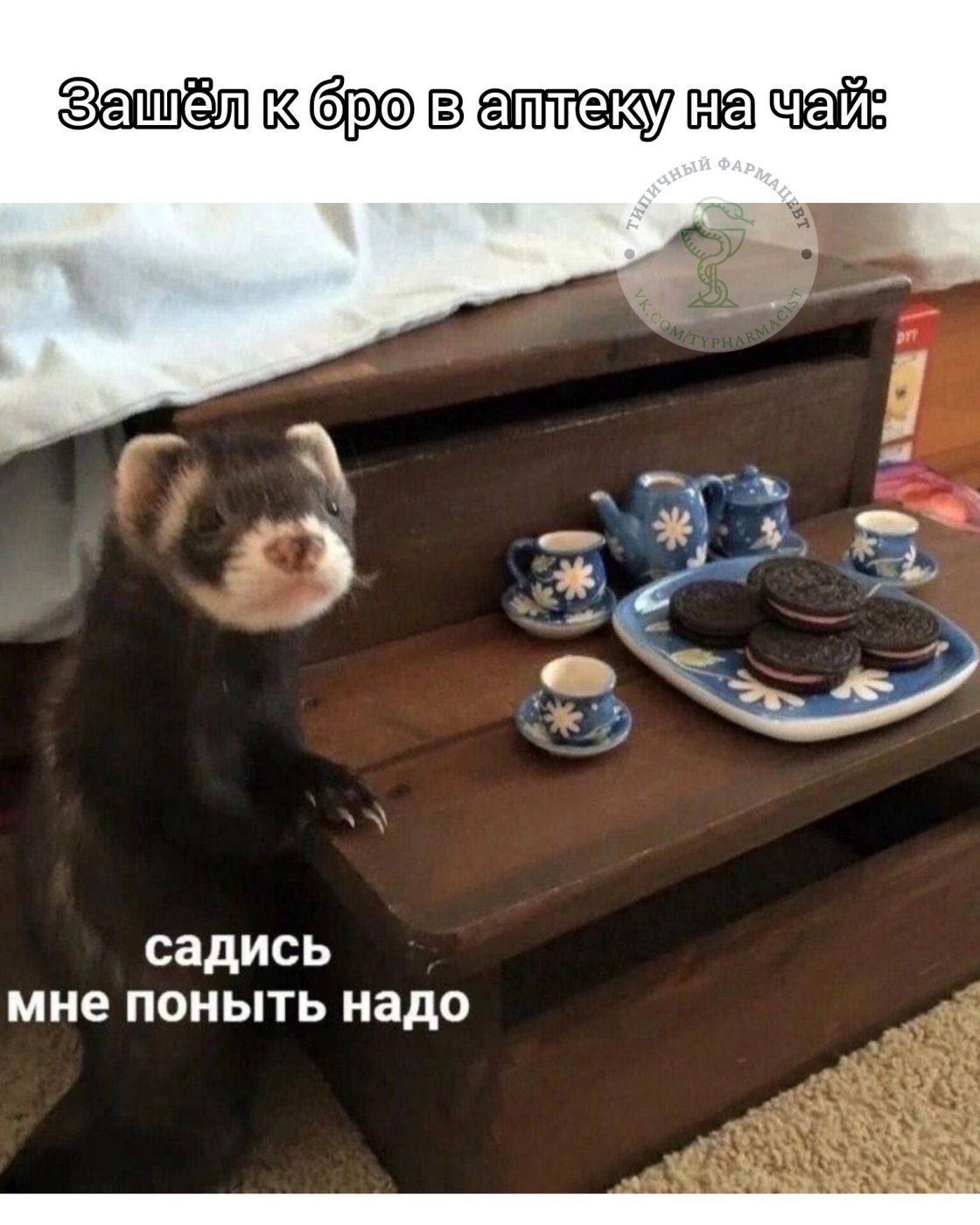Мем про аптеку из паблика «Типичный фармацевт»