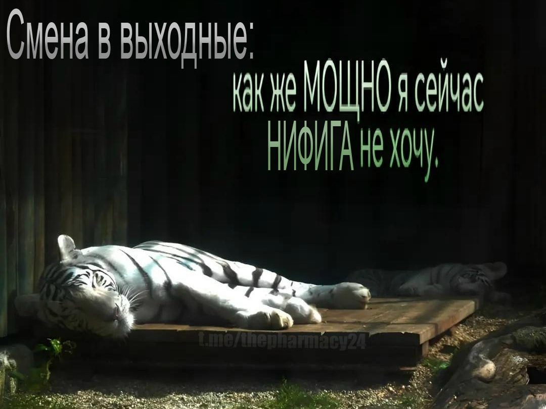 Мем про аптеку из паблика «Аптека, улица, фонарь»
