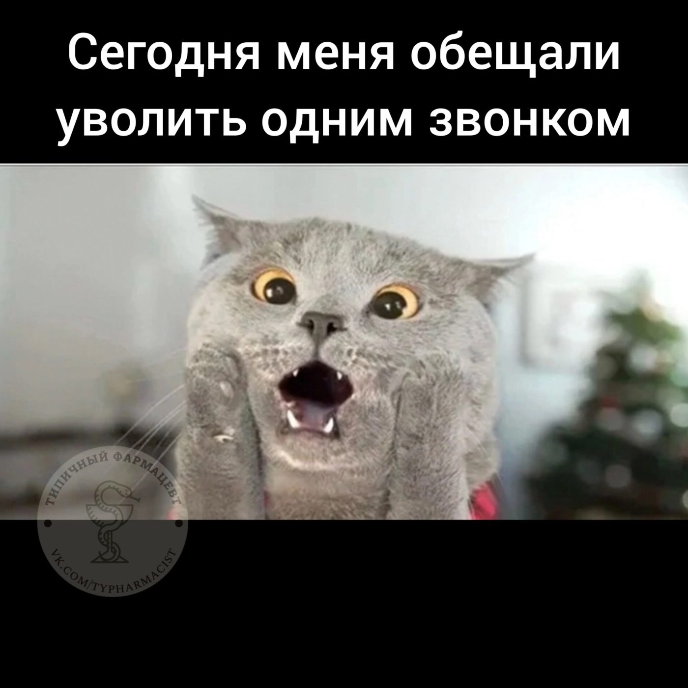 Мем про аптеку из паблика «Типичный фармацевт»