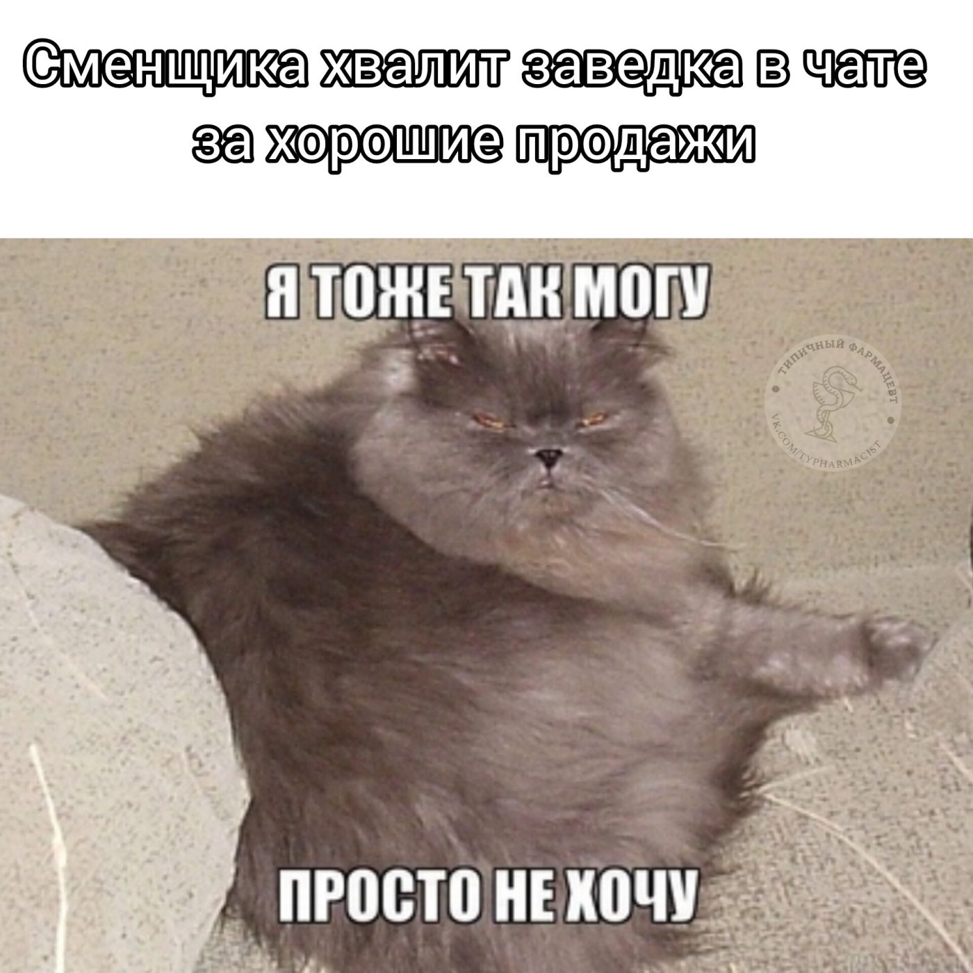 Мем про аптеку из паблика «Типичный фармацевт»