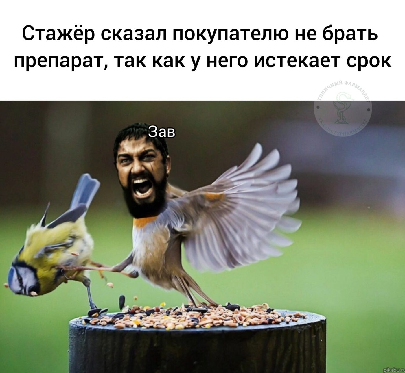 Мем про аптеку из паблика «Типичный фармацевт»