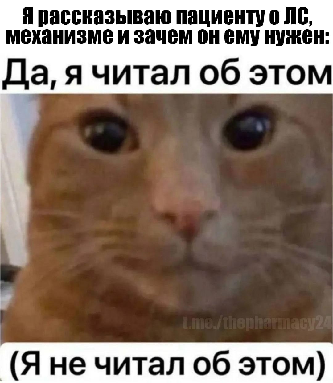 Мем про аптеку из паблика «Аптека, улица, фонарь»