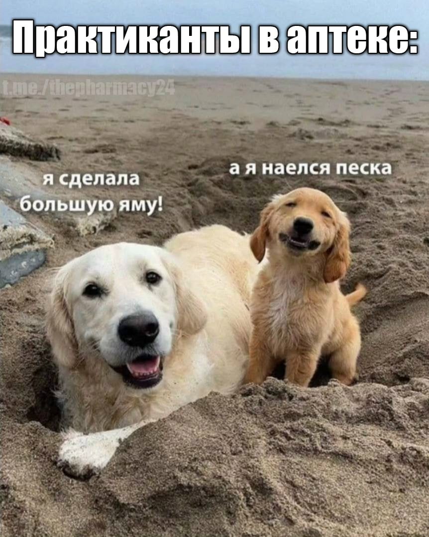 Мем про аптеку из паблика «Аптека, улица, фонарь»