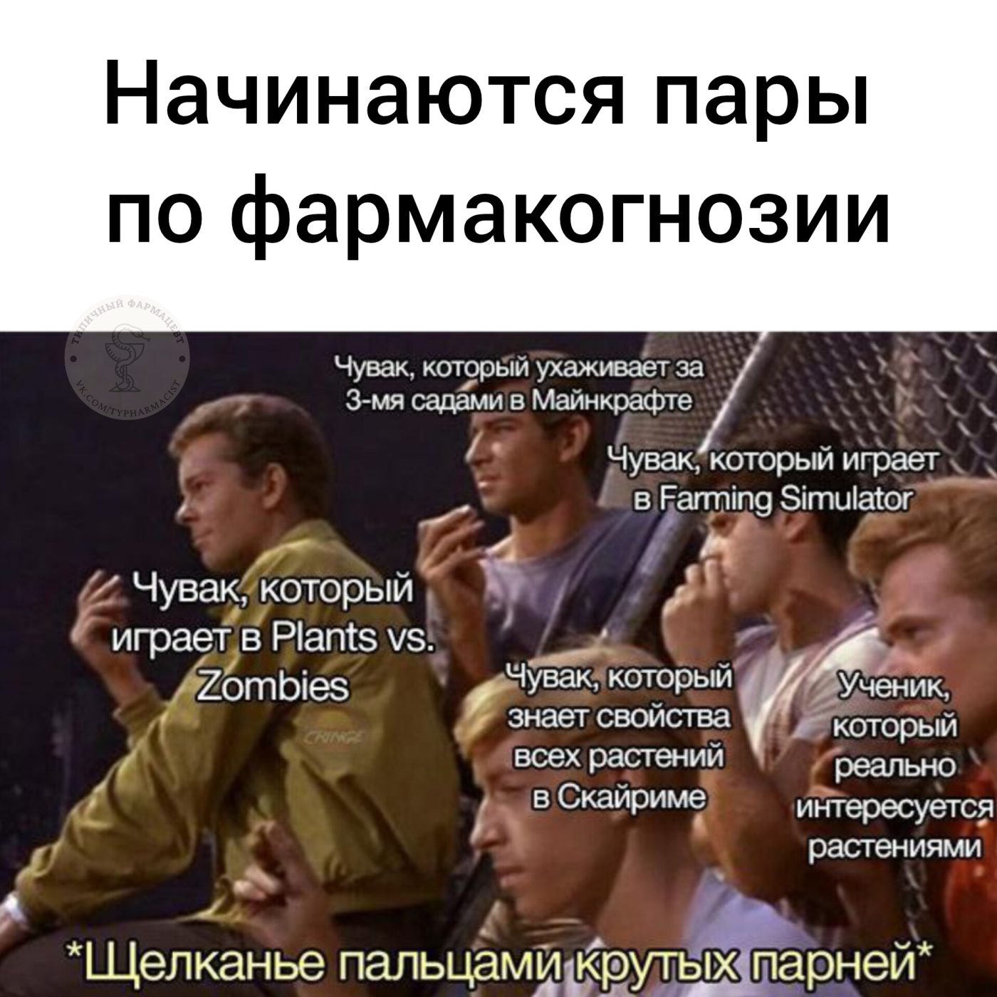 Мем про аптеку и будни фармацевта