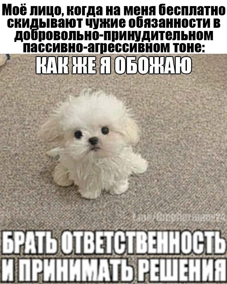 Мем про аптеку и будни фармацевта