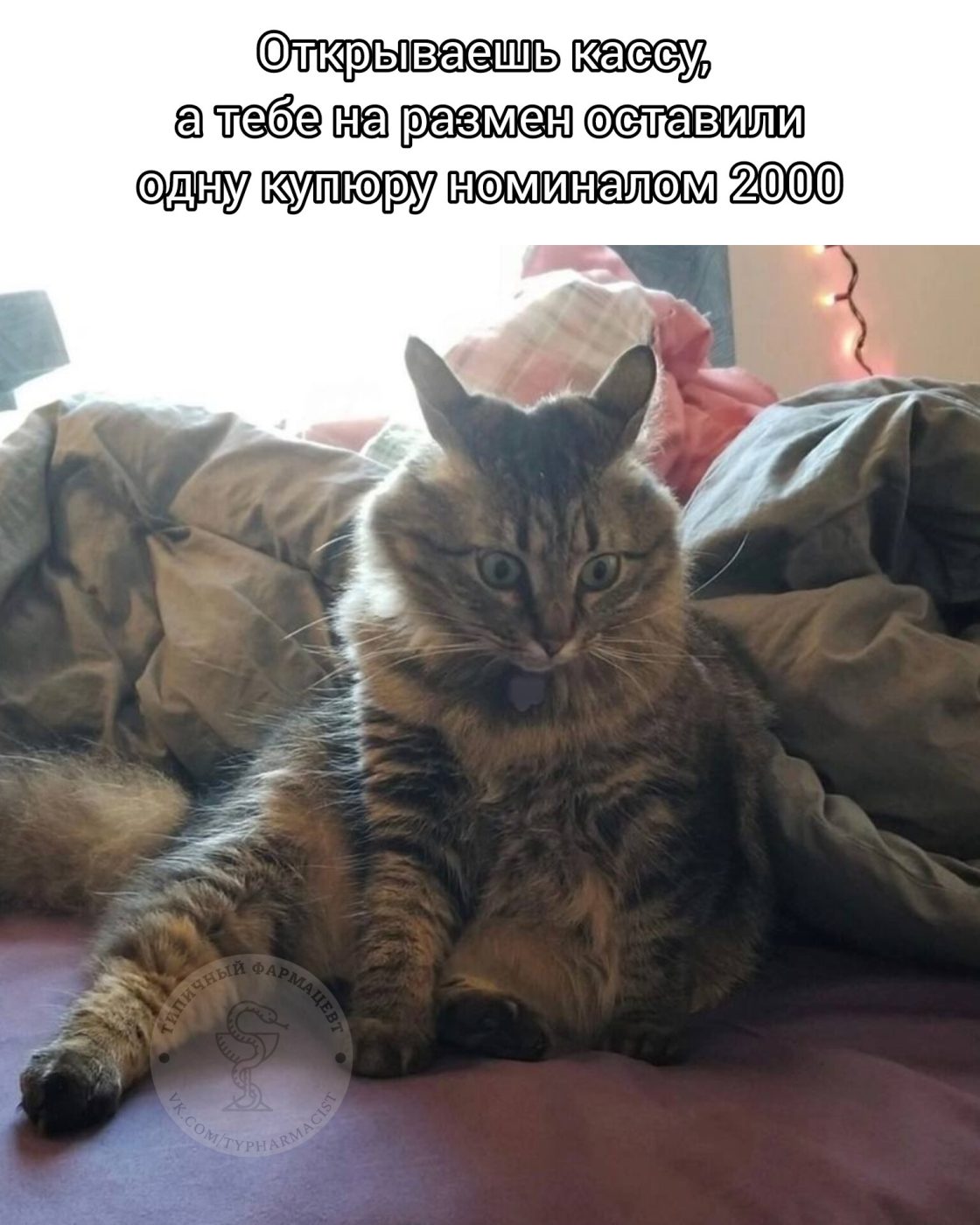 Мем про аптеку и будни фармацевта