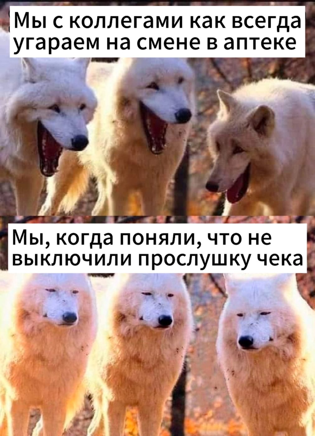 Мем про аптеку и будни фармацевта