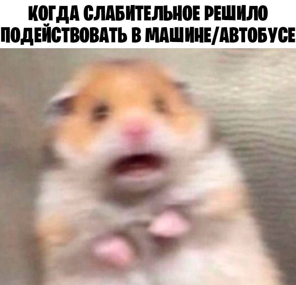 Мем про аптеку и будни фармацевта