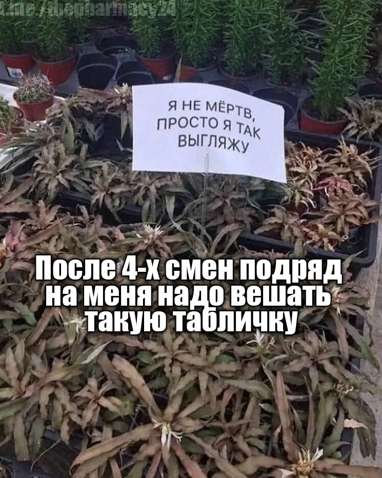 Мем про аптеку и будни фармацевта
