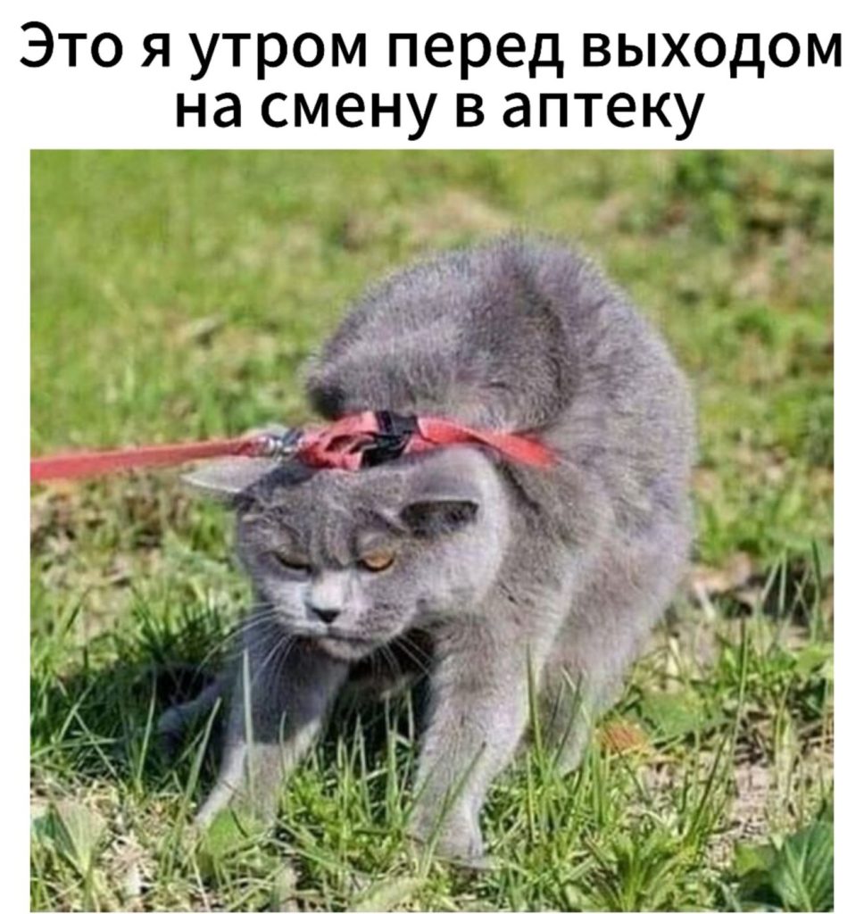 Мем про аптеку и будни фармацевта