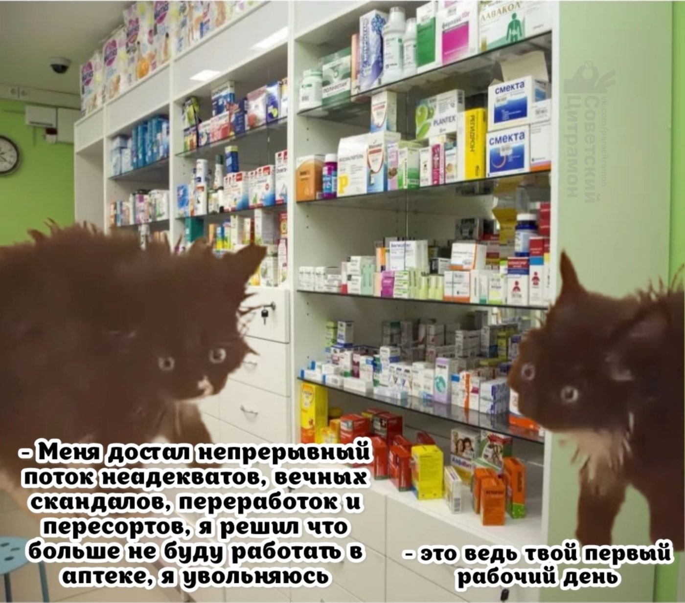 Мем про аптеку и будни фармацевта