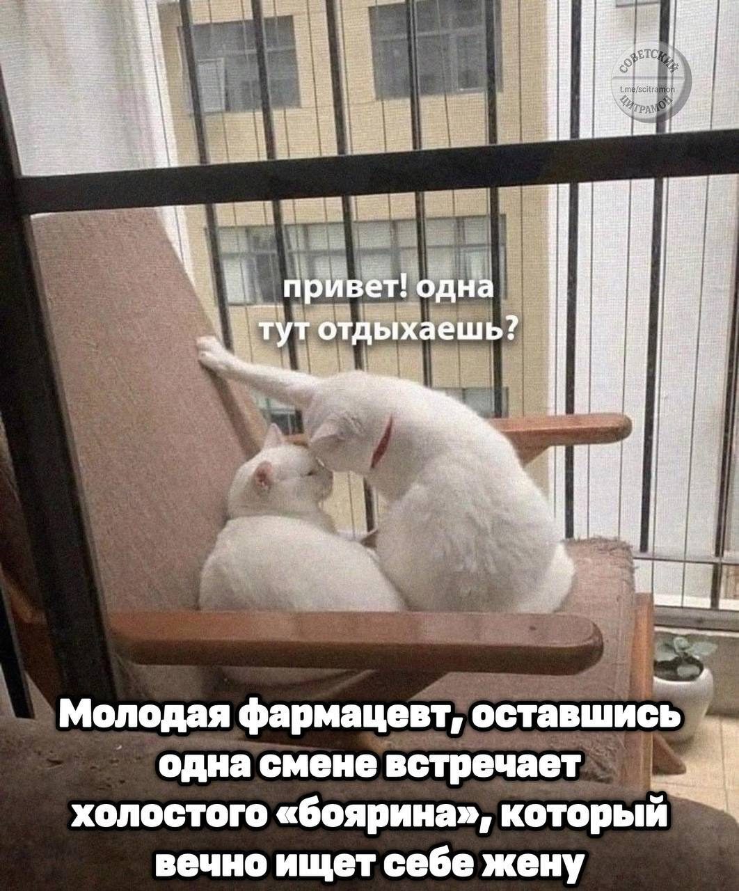 Мем про аптеку и будни фармацевта
