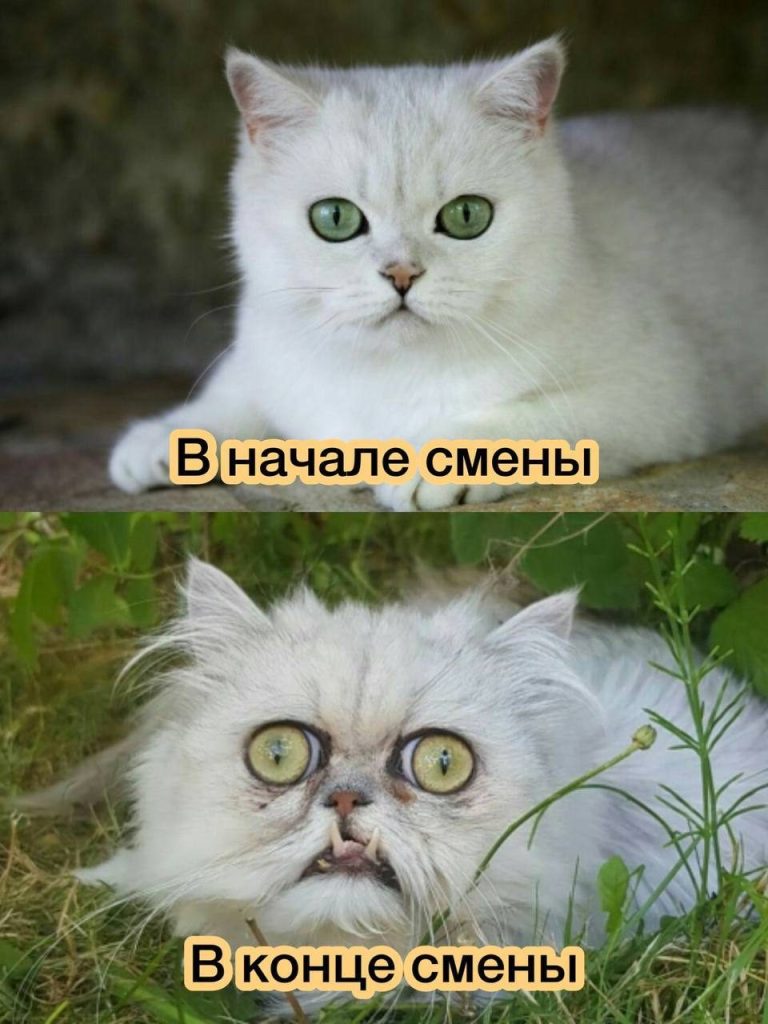Мем про аптеку и будни фармацевта