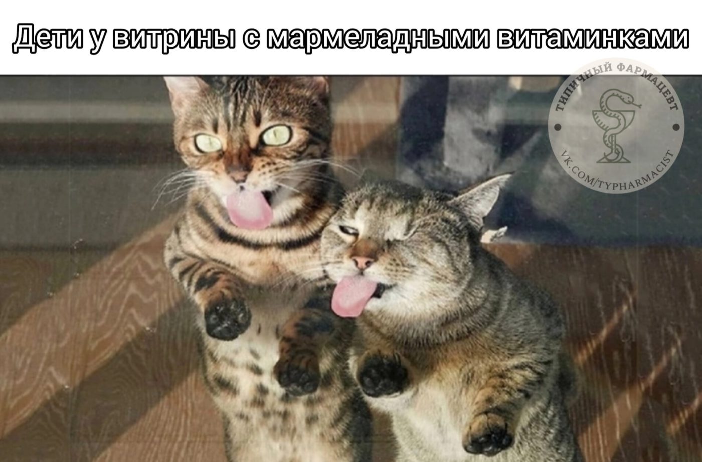 Мем про аптеку и будни фармацевта