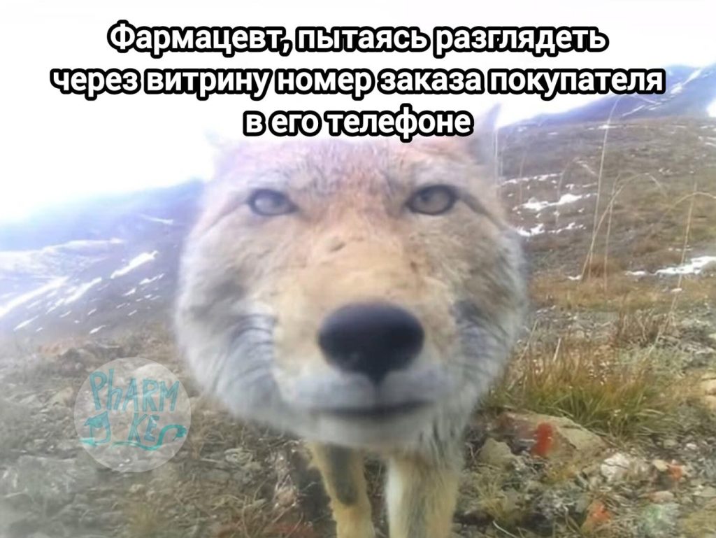 Мем про аптеку и будни фармацевта