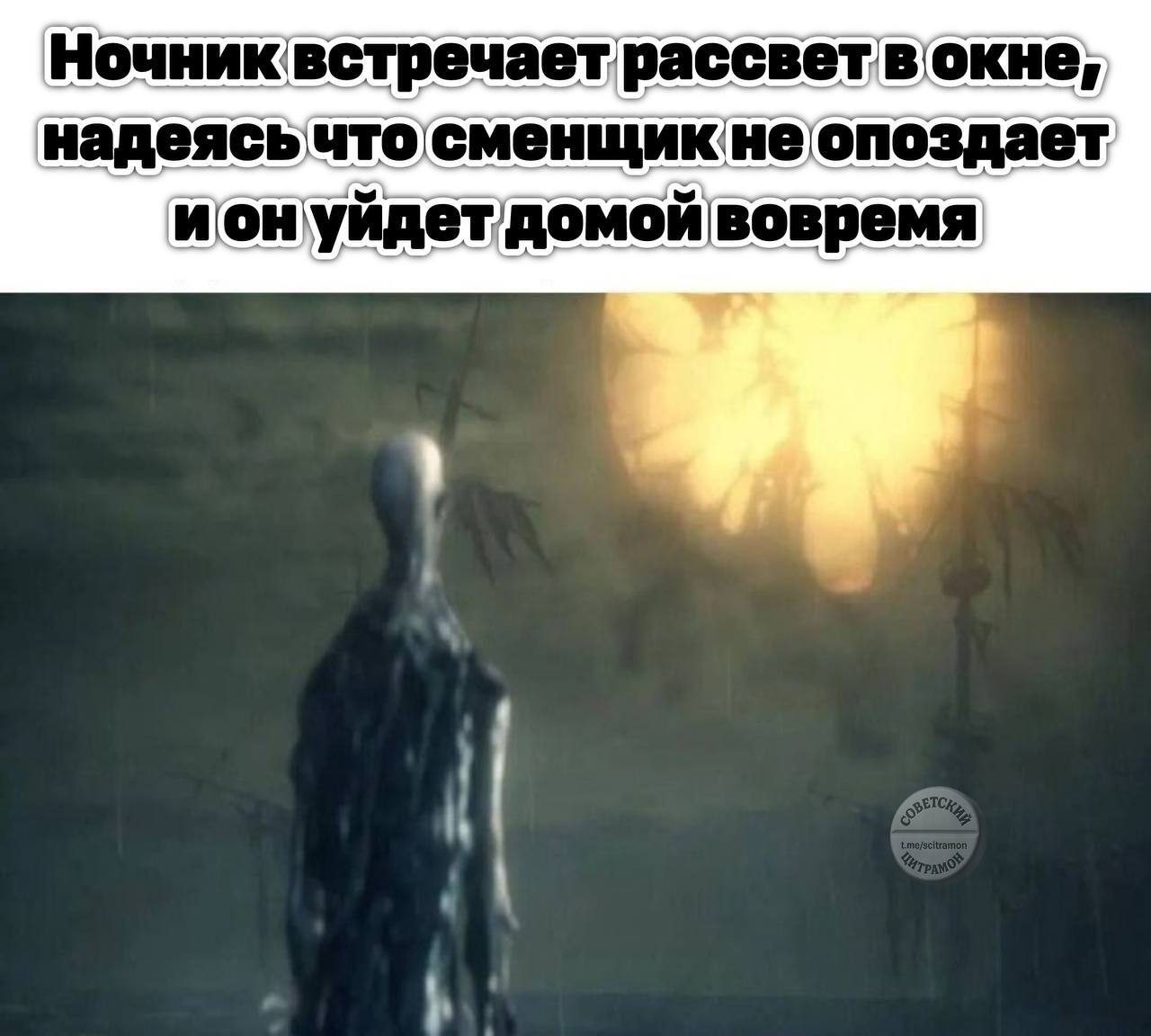 Мем про аптеку и будни фармацевта