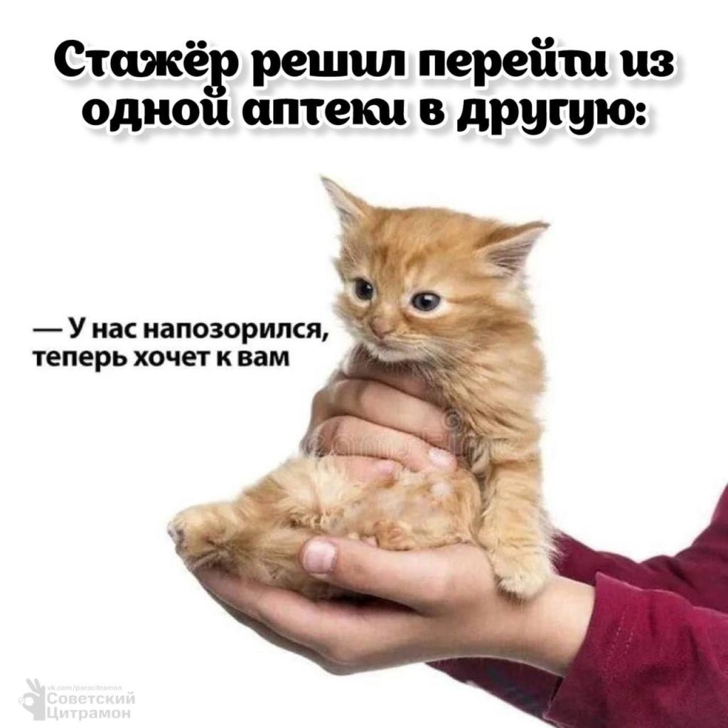 Мем про аптеку и будни фармацевта