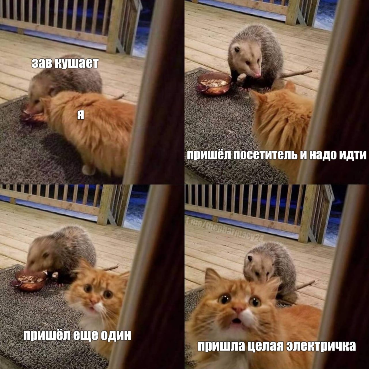 Мем про аптеку и будни фармацевта