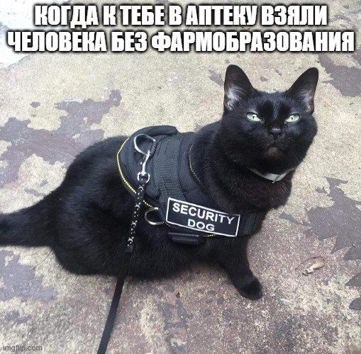 Мем про аптеку и будни фармацевта
