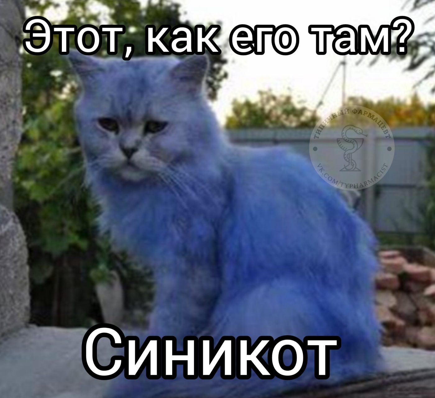 Мем про аптеку и будни фармацевта