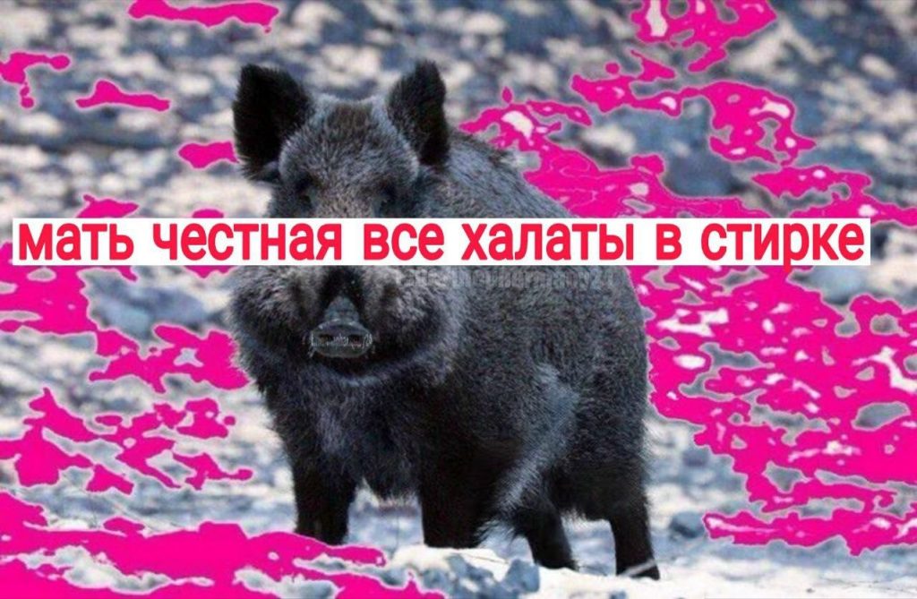 Мем про аптеку и будни фармацевта