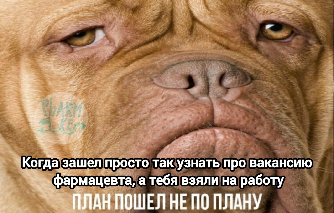Мем про аптеку и будни фармацевта