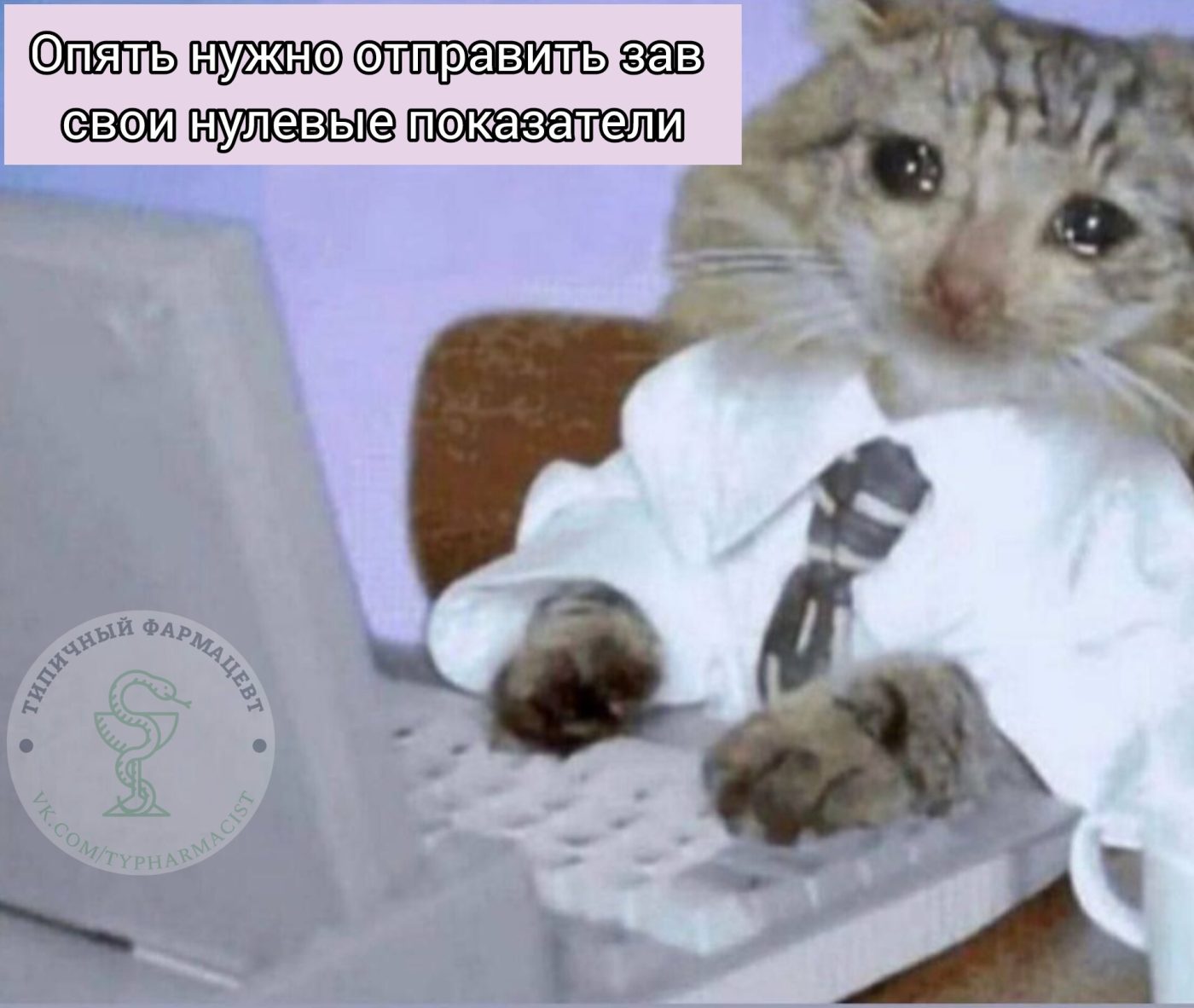 Мем про аптеку и будни фармацевта